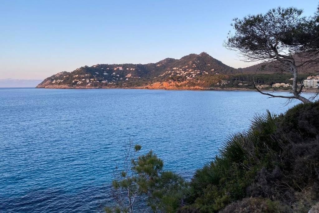 Sunny Apartment 1B With Balcony & Pool In Canyamel Capdepera  Exterior photo